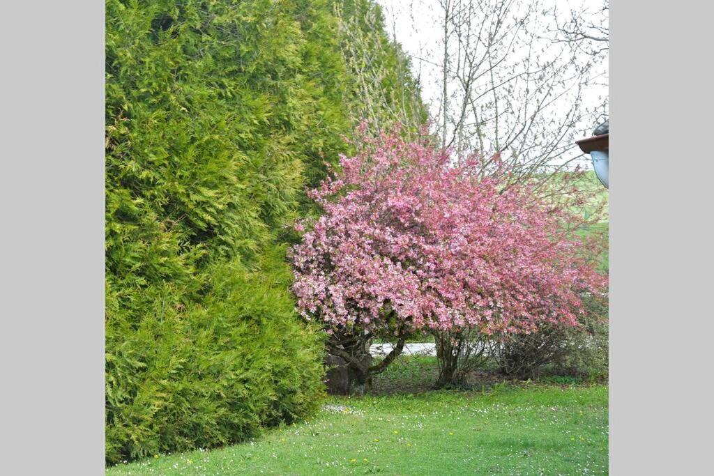 Domaine Des Montots Villa Tanlay Bagian luar foto